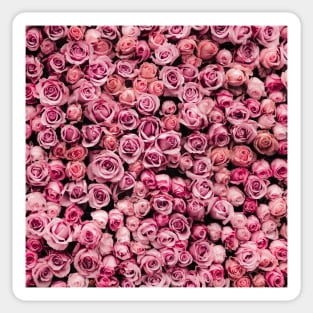 Roses pattern Sticker